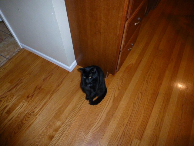 Trip to Indiana 152