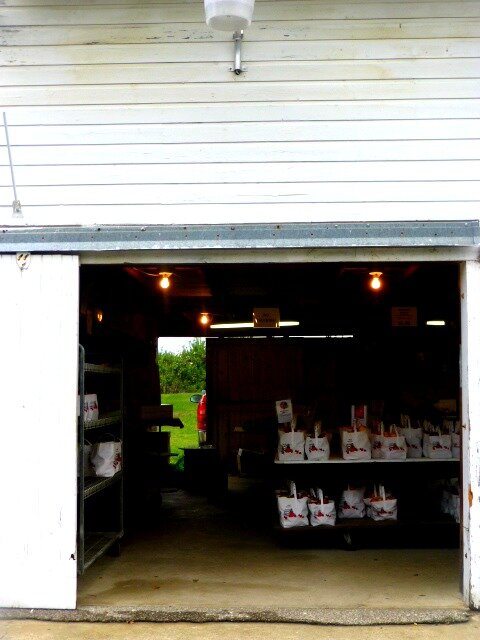 Trip to Indiana 176