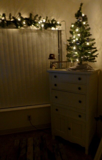 Holiday 023