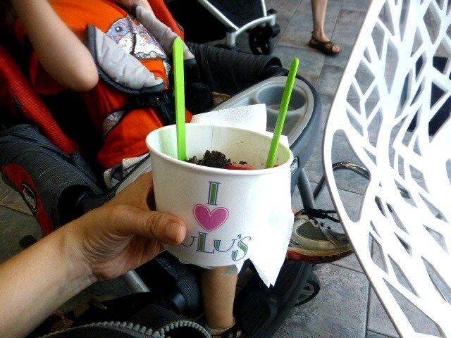 Frozen Yogurt