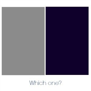 which one